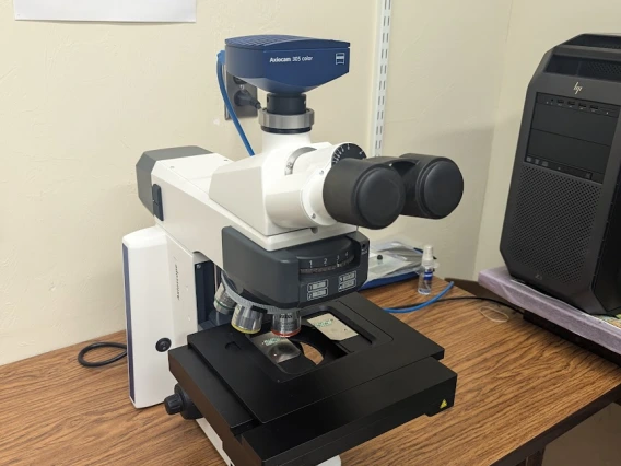 Zeiss Microscope 2