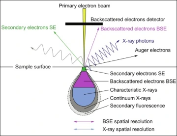 Electron Beam Interaction Diagram